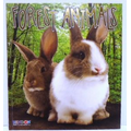 Forest Animals Book